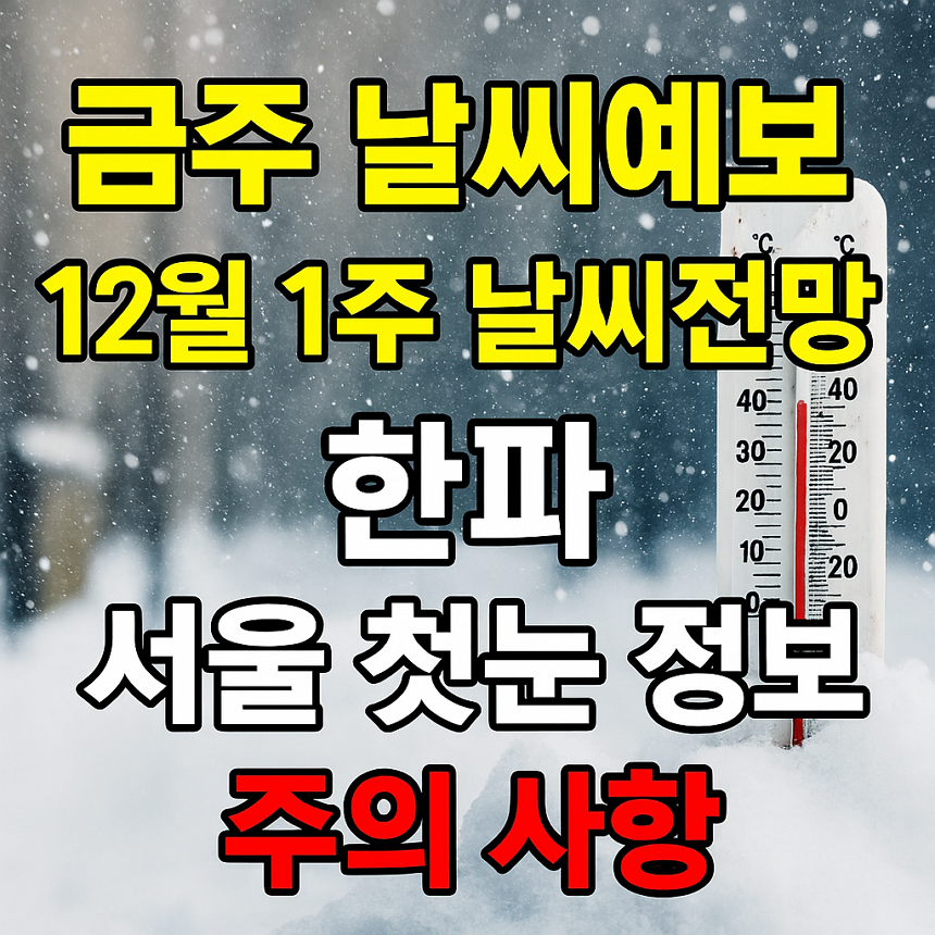금주 날씨예보, 12월 1주 날씨전망, 한파, 서울 첫눈 정보, 주의 사항