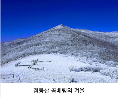 점봉산 곰배령 탐방예약 꿀팁(선착순) 코스안내