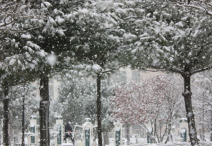 기상청 날씨누리 동네예보