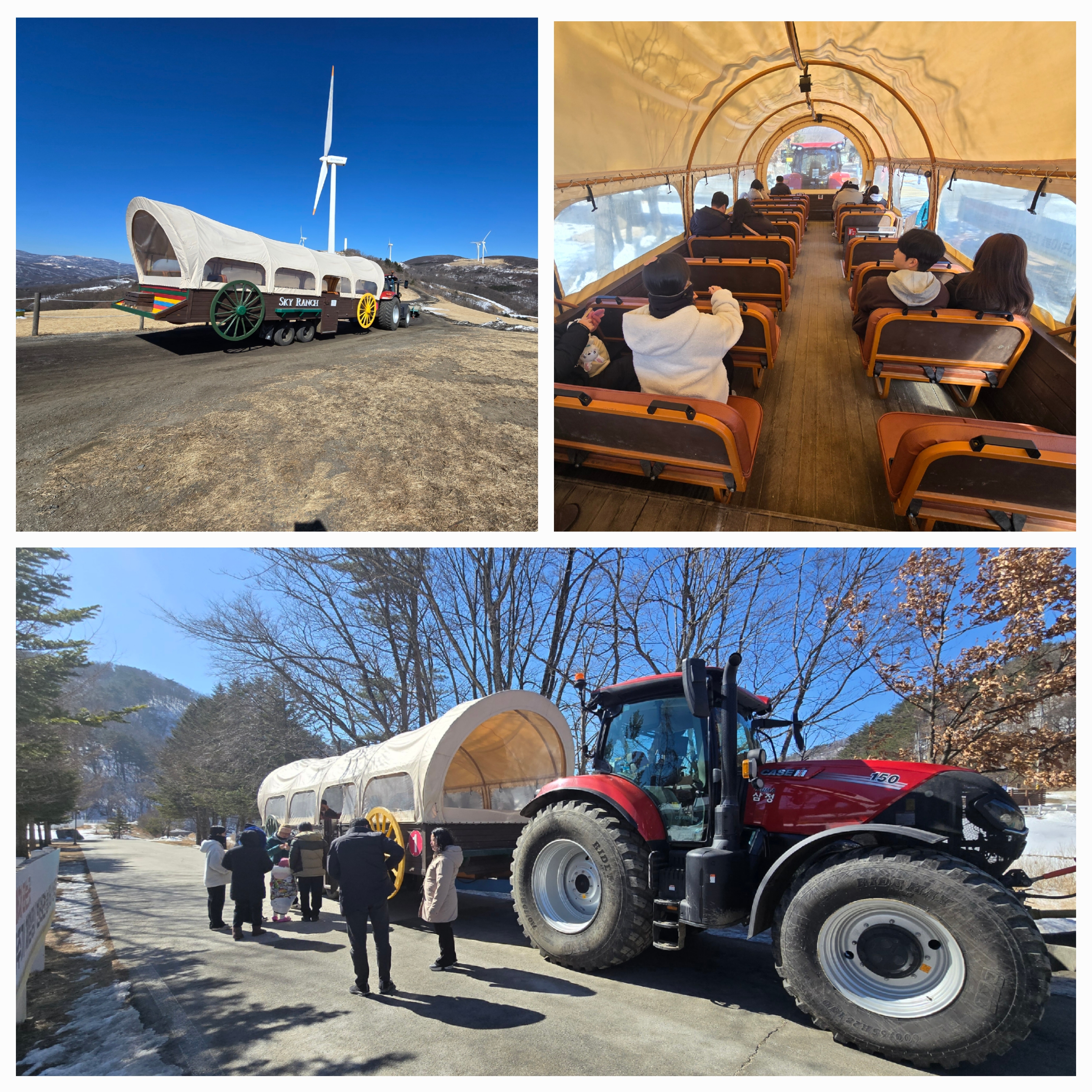 대관령 하늘목장 평창가볼만한곳 횡계가볼만한곳 .체험비.입장료 트랙터 마차