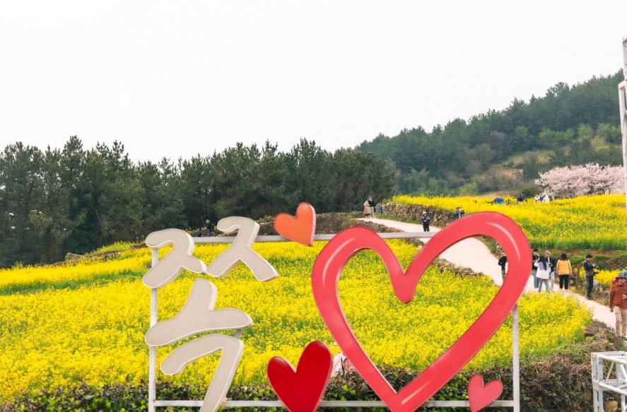 6시내고향 청산도 슬로걷기축제 둘레길 시작