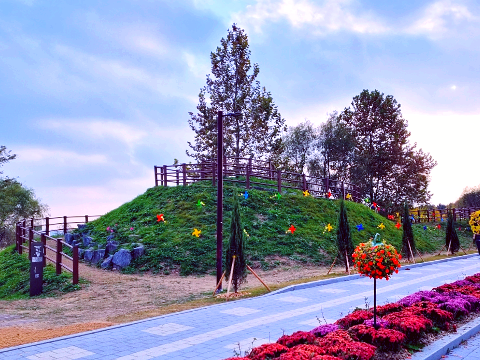 핑크뮬리부터 은행나무길까지, 드림파크 야생화공원 가을 축제와 산책