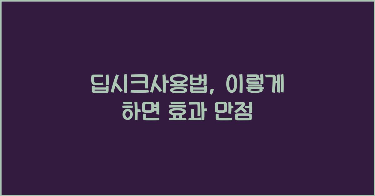 딥시크사용법