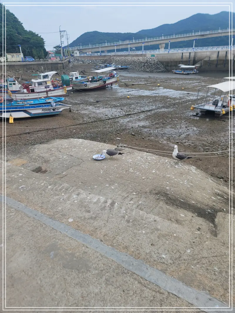 소무의도-둘레길20250714_115400