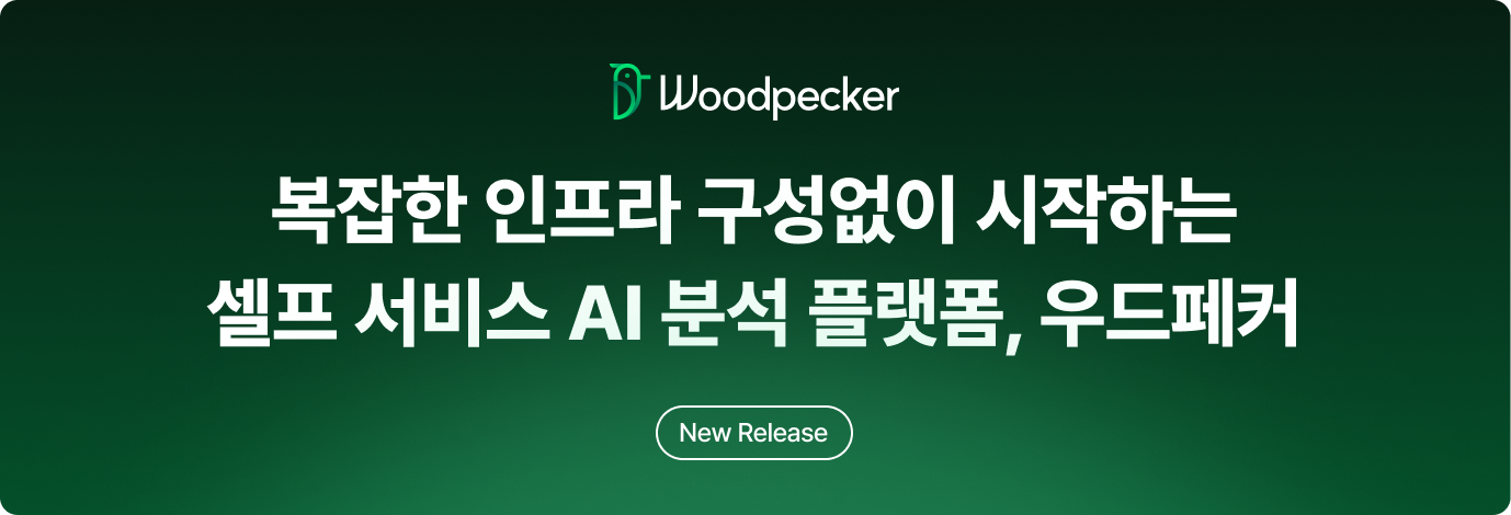 복잡한 인프라 구성없이 시작하는 셀프 서비스 AI 플랫폼, 우드페커