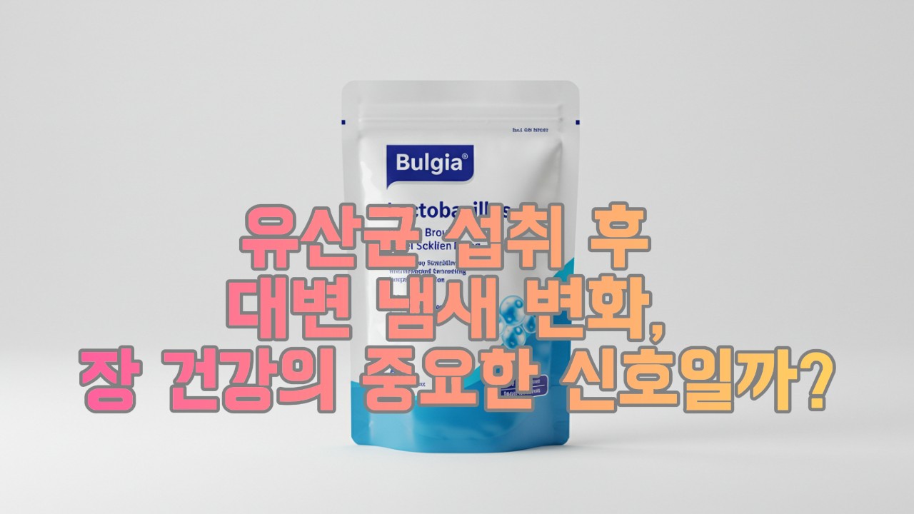 유산균 섭취 후 대변 냄새 변화, 장 건강의 중요한 신호일까