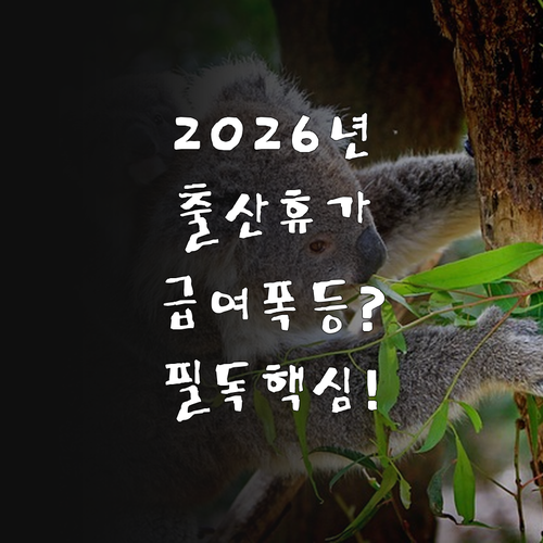 2026년 달라지는 출산휴가 급여 제..