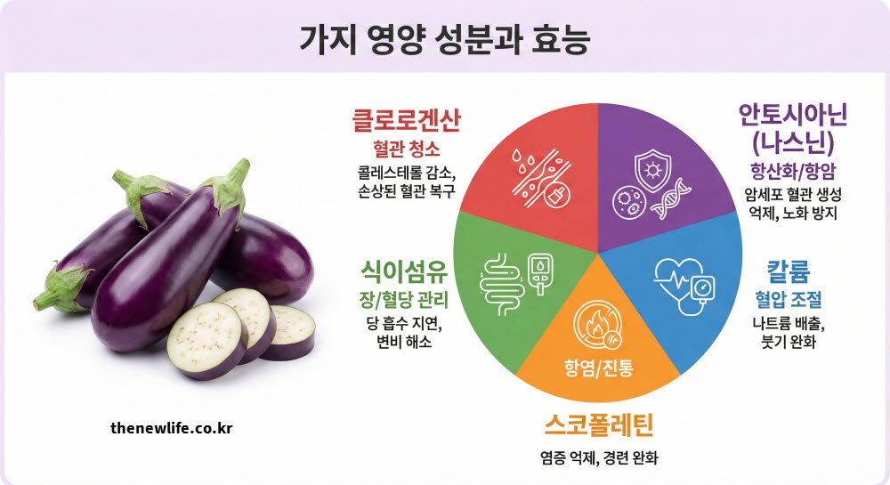 가지효능의 영양 성분과 효능을 과학적으로 분석한 이미지