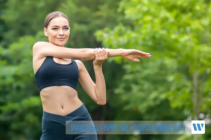 시서스 효능&amp;#44; 복용방법&amp;#44; 주의사항