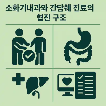 소화기내과와 간담췌 진료의 협진 구조