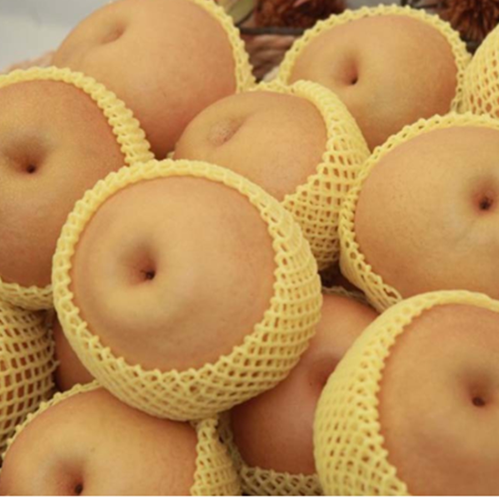 배 보관방법