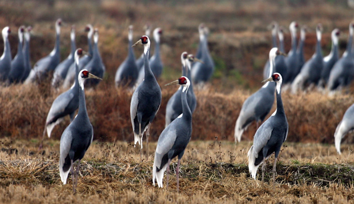 생생 정보통 맛집 오늘 방송