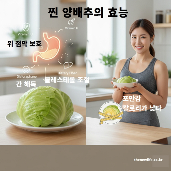 찐 양배추의 효능 – 위 점막 보호, 간 해독, 콜레스테롤 조절, 포만감과 낮은 칼로리