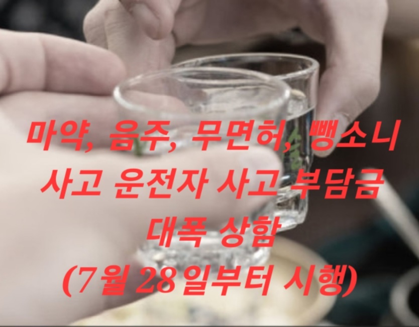 사고부담금 상향
