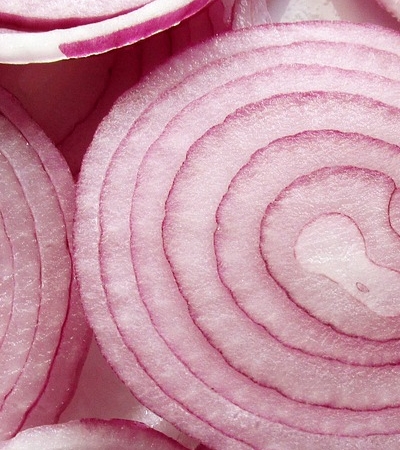 양파 효능 사진32