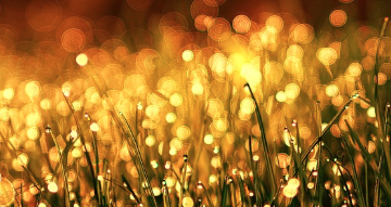 산,숲,계곡 자연환경에서 사진 잘 찍는 방법