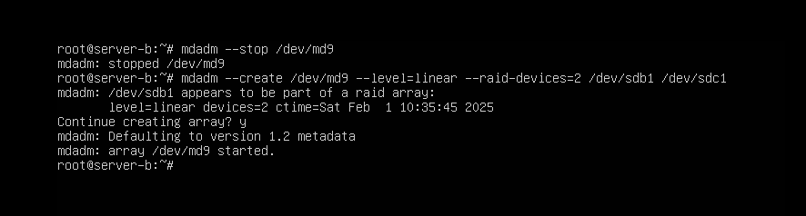 리니어 레이드 재구성