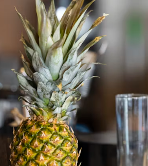 간헐적 단식 방법 16:8 기간 효과 간헐적 단식 효과 부작용