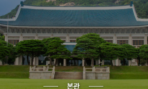 청와대 야간개장