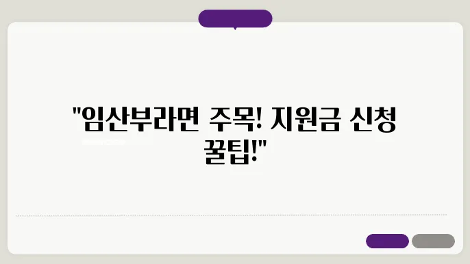 임산부 건강관리비 지원 제도 안내 시스템, 조건, 목적 설명