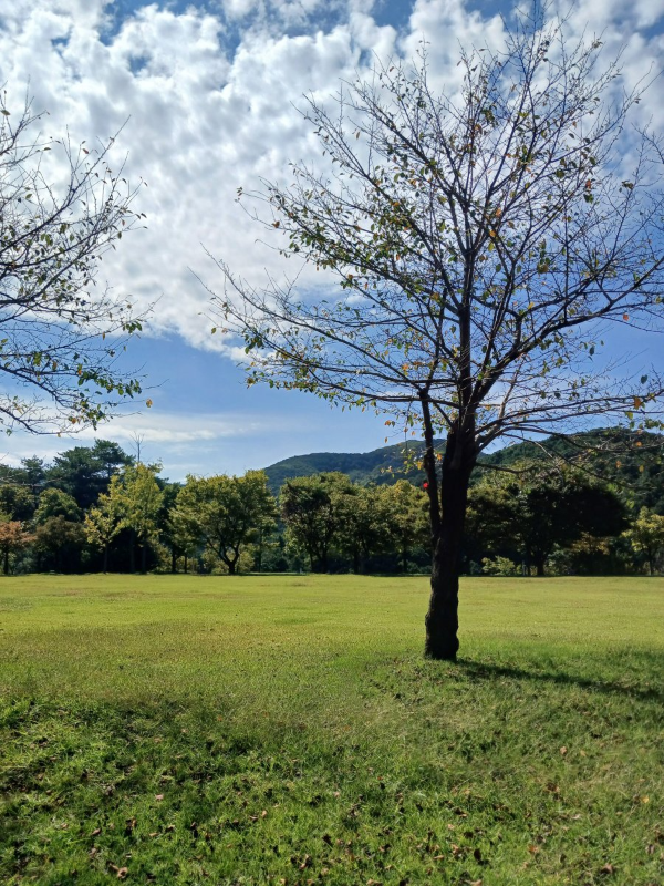 안양 병목안 하늘