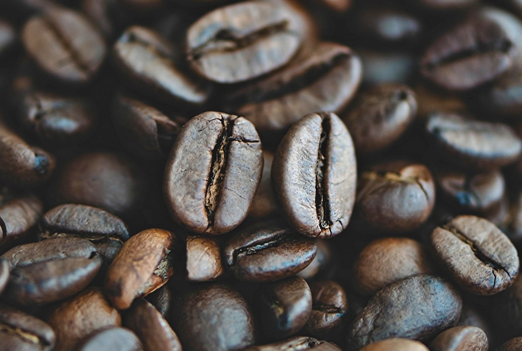 2050년이면 커피를 못 마신다? 기후 리스크가 바꿀 디저트의 미래!