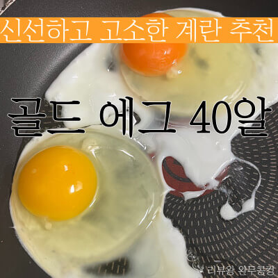 계란 추천 - 1등급 계란 - 골드 에그 40알 - 아자몰 계란 - 내돈내산 - 썸네일