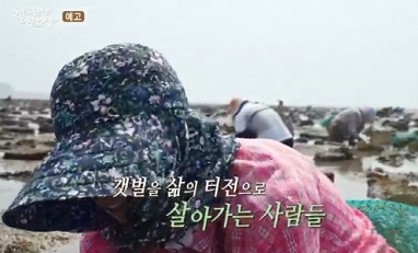 갯마을밥상