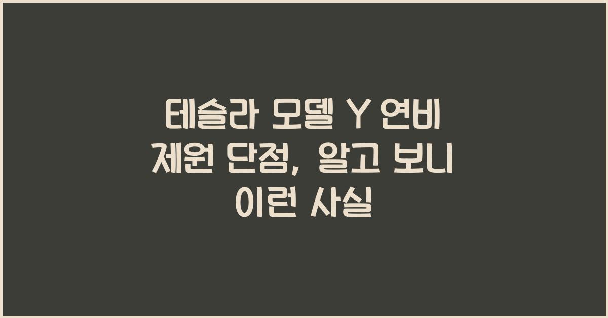 테슬라 모델 Y 연비 제원 단점