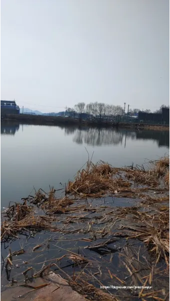 낚시 즐기기 좋은 충청도 저수지 포인트 찾아가는 길_12