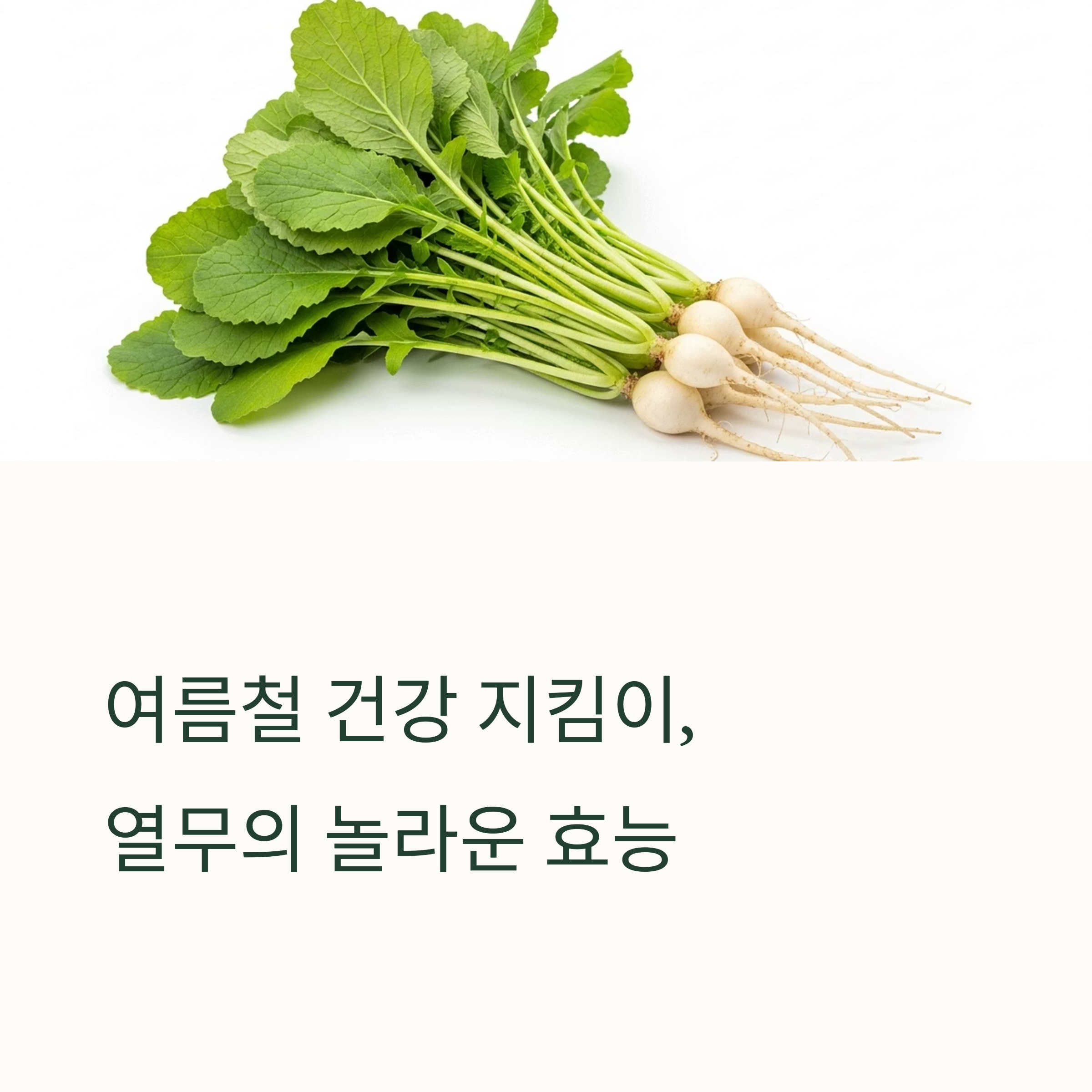 여름철 건강 지킴이, 열무의 놀라운 효능