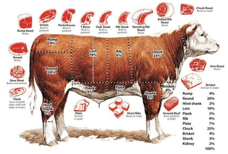 소고기 부위별 명칭과 용도