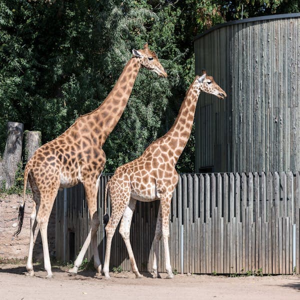 시민 과학의 힘: 환경 보호와 생태계 복원을 위한 도전