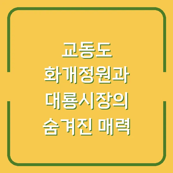 교동도 화개정원과 대룡시장의 숨겨진 매력