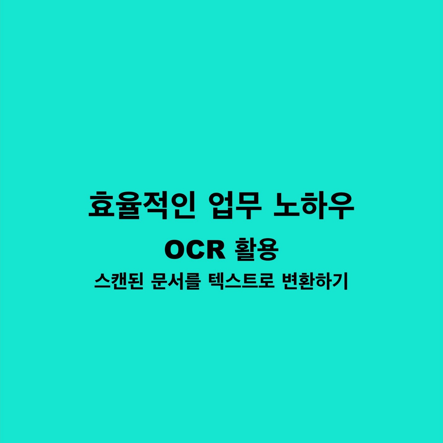 업무노하우 OCR