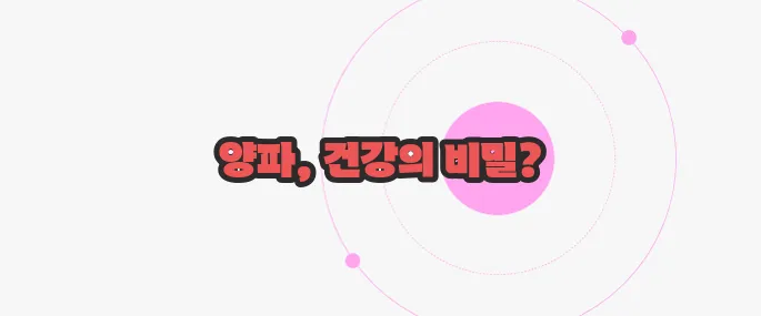 양파 효능 지금부터 알아볼까요