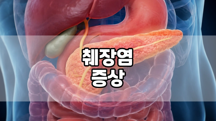 췌장염 증상