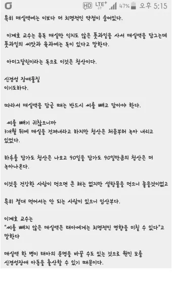 매실액기스 효능 해독 작용 숙취 건강 효과 정리_5
