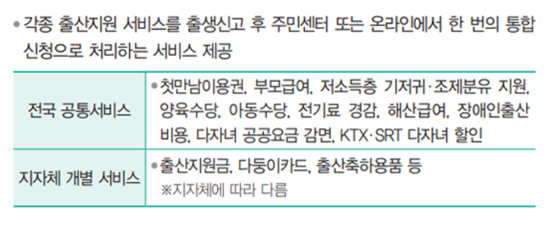 출산 지원금 장려금 2024