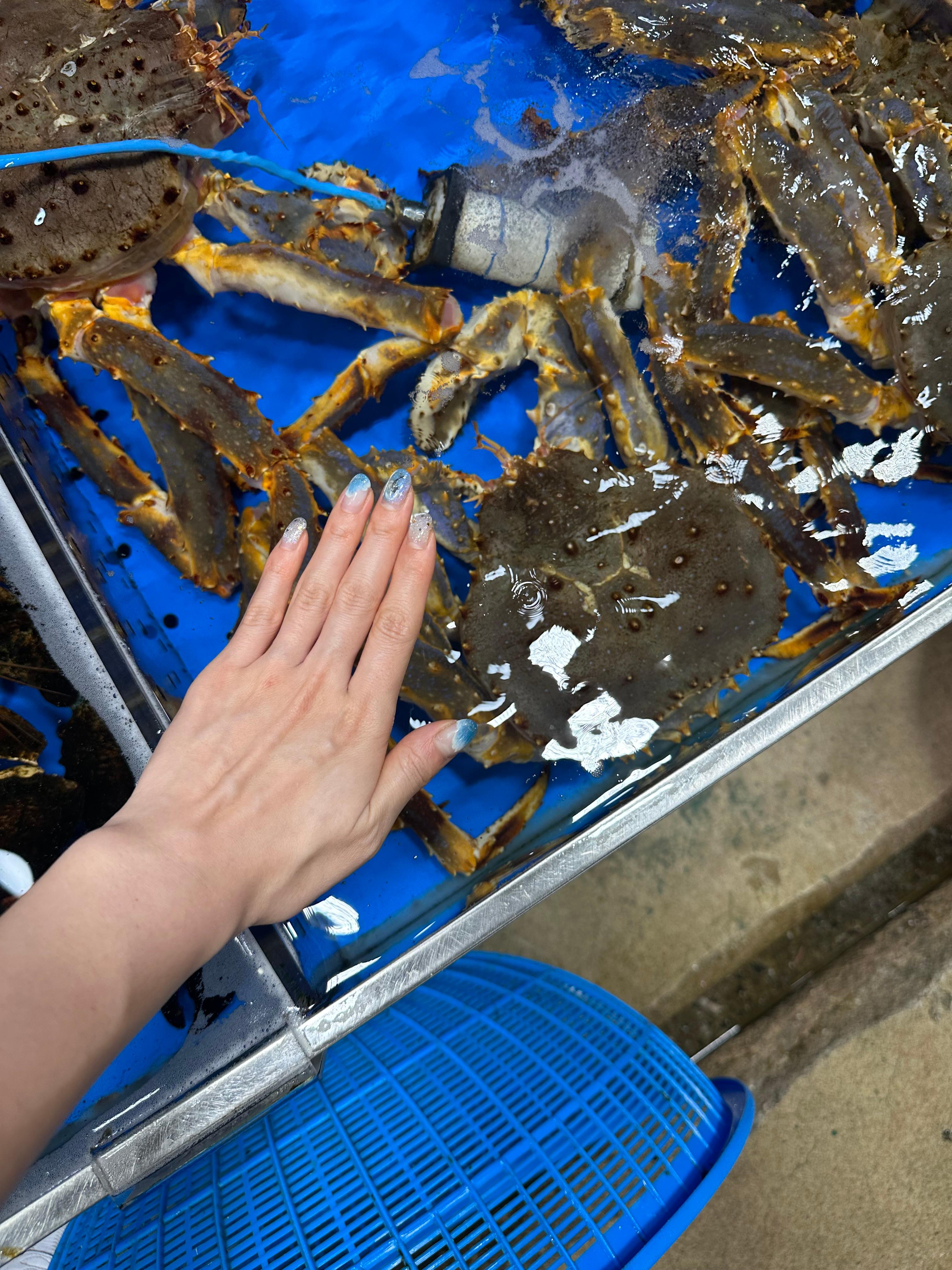 Travel Review 2: Boryeong, Daecheon, and Muchangpo in Chungnam, Korea (Family Travel Destination Recommendation, Muchangpo Beache Palace, Mudflat Experience, Sky Bike Price &amp; Duration, Daecheon Restaurants &amp; Lunch Spots, Daecheon Beach, Stunning Sunset, Closed Sanghwawon, Daecheon Port Fish Market, Useong Fisheries, Suyeonho Fisheries, Muchangpo Beache Palace, Ocean View, Lodging with Kitchen Facilities, Muchangpo Pension)