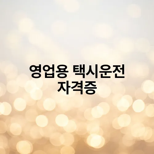 영업용 택시운전 자격증
