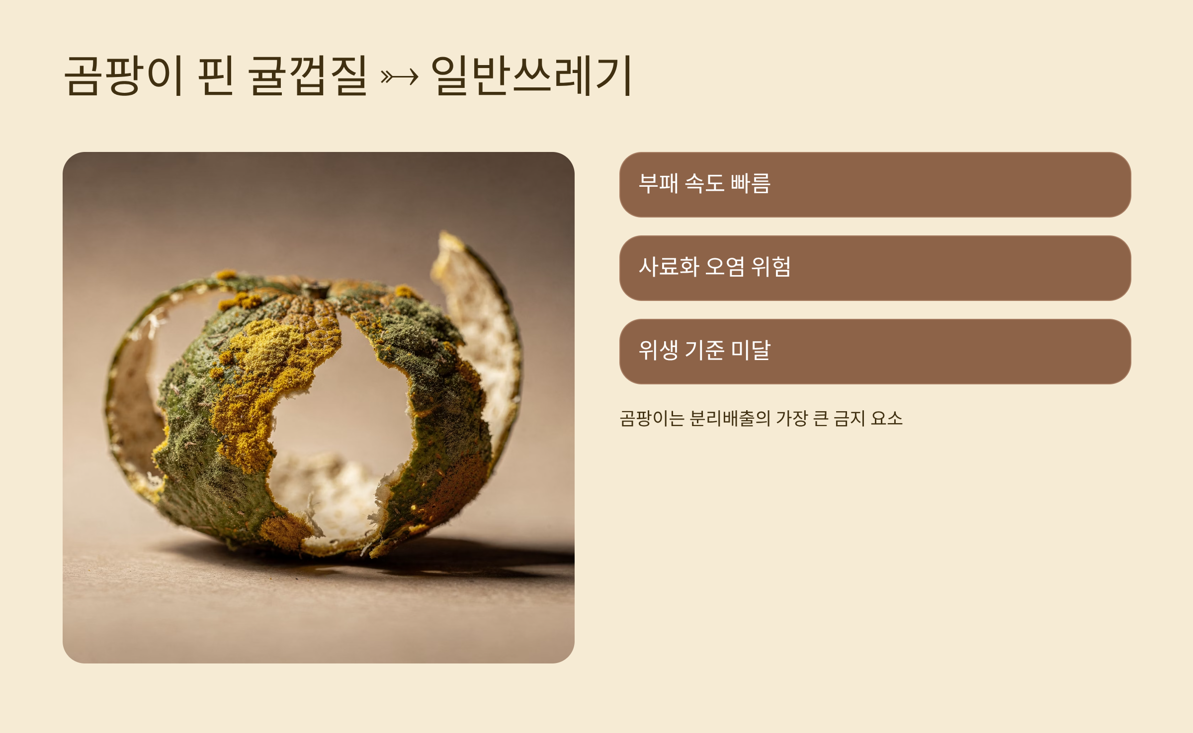 곰팡이핀 귤껍질 일반쓰레기