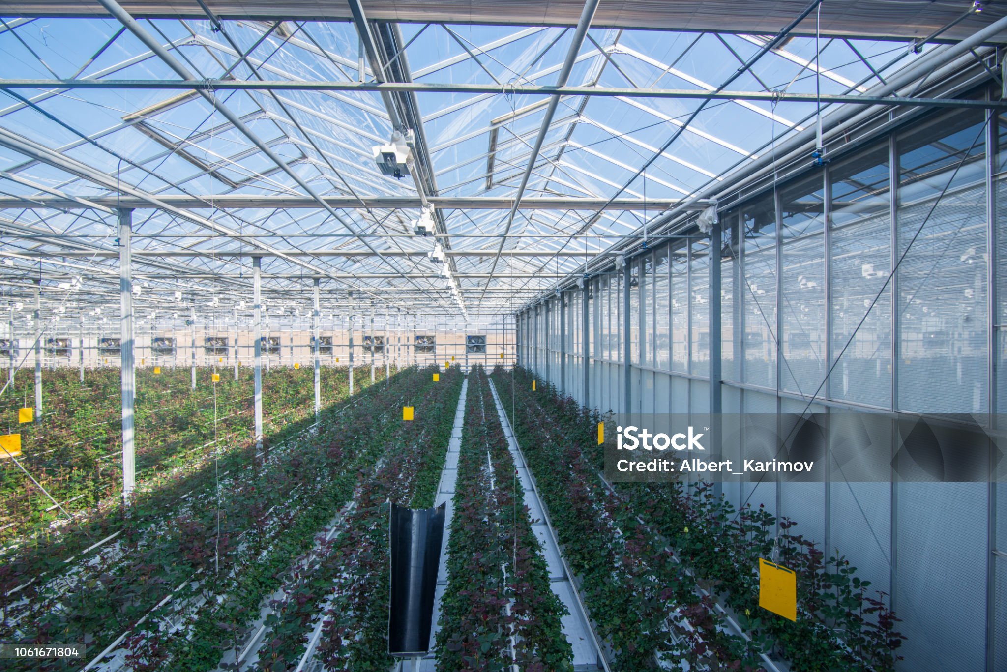 스마트팜 미래전망