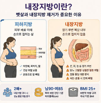 뱃살빼는약-빠지는약-내장지방-제거-효과-부작용-식단-내돈내산-추천