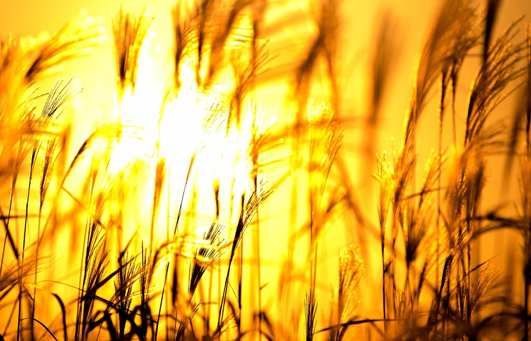 노후에 체력이 자산이 되는 구조적 이유!