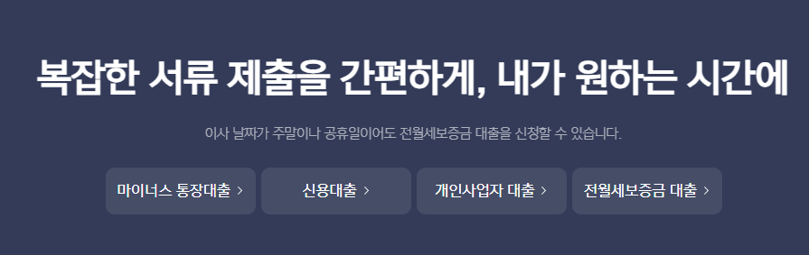카카오뱅크 비상금대출