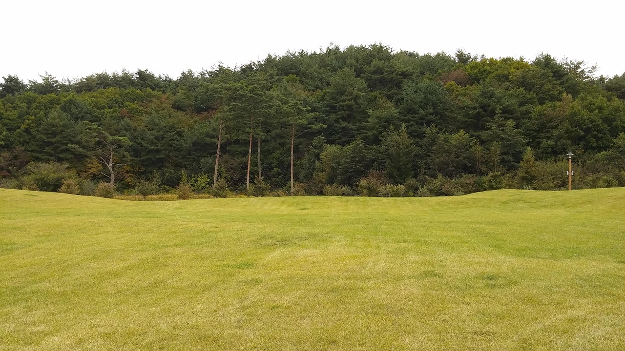 화담숲 예약방법