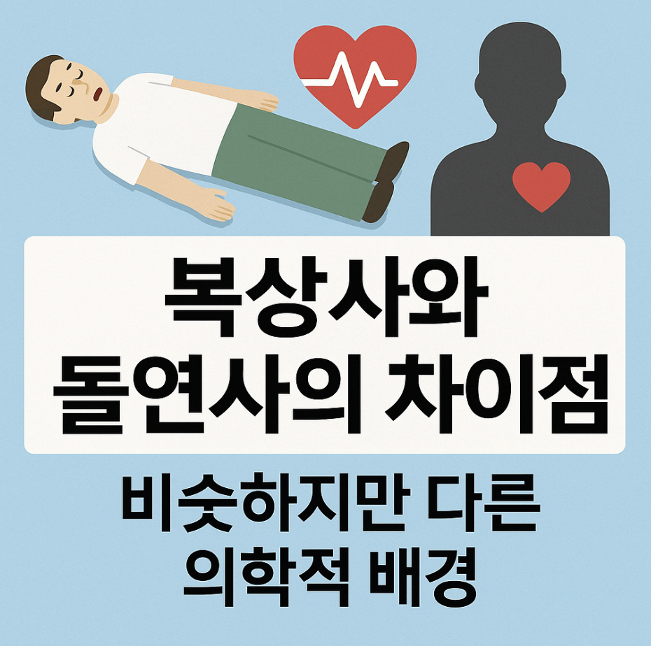 복상사와 돌연사의 차이점 – 비슷하지만 다른 의학적 배경