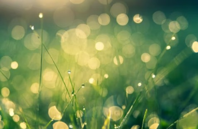 탄소중립포인트