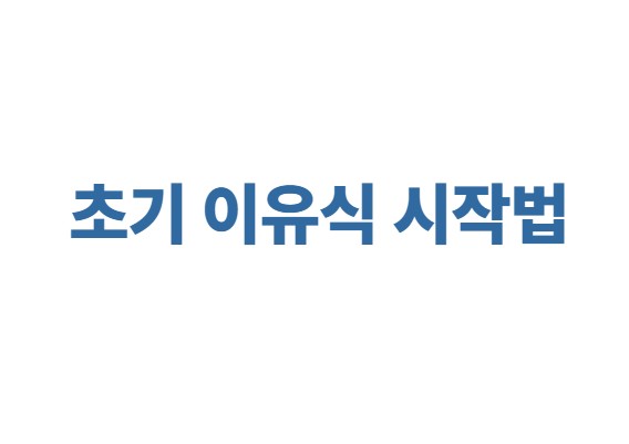 초기 이유식 시작법